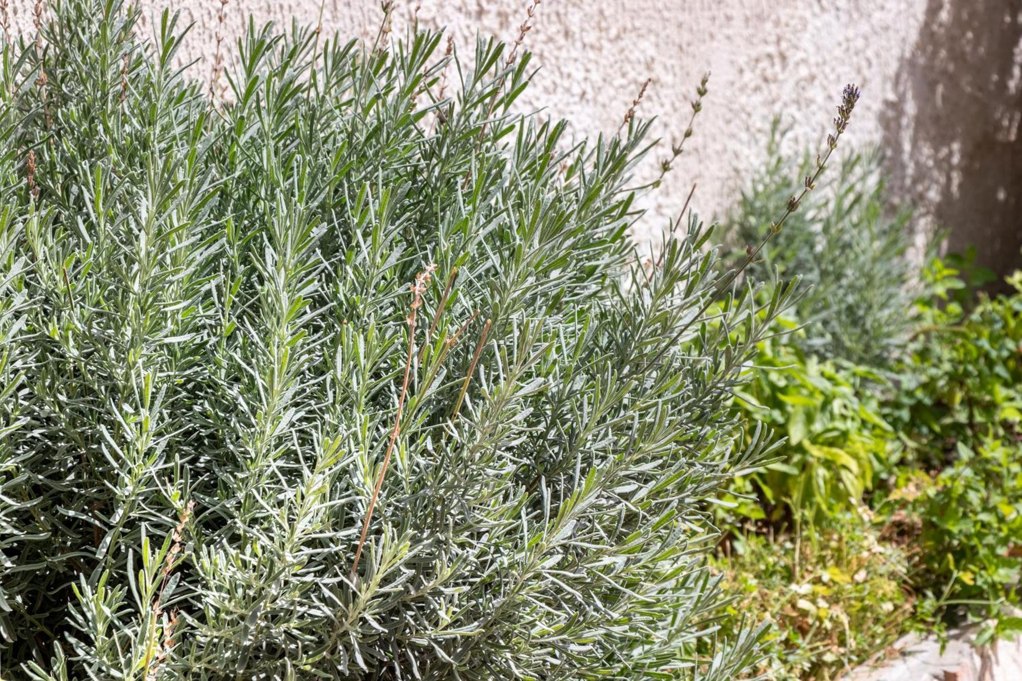 B&B La Terrazza Sul Mare Avola Dış mekan fotoğraf